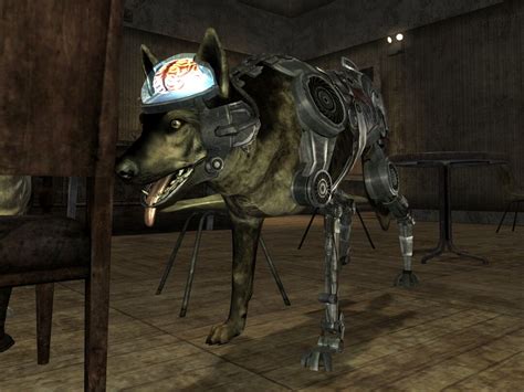 fallout new vegas dog companion|fallout new vegas rex endings.